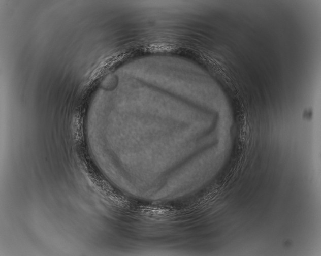 X0000115580743200912011438