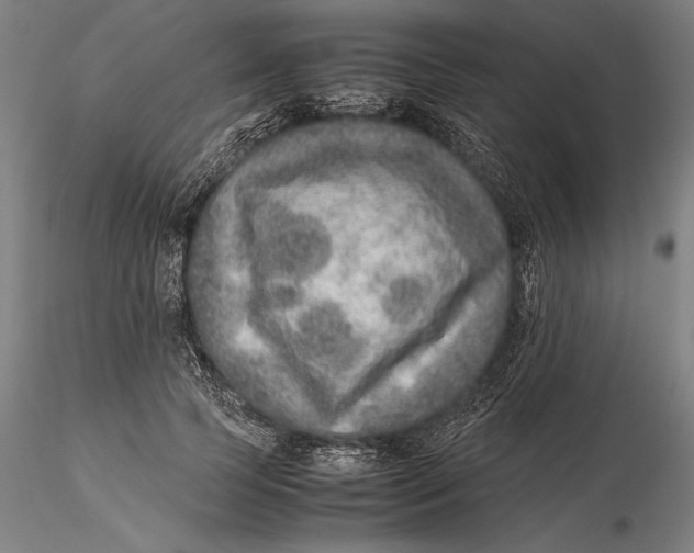 X0000115580745200912011438