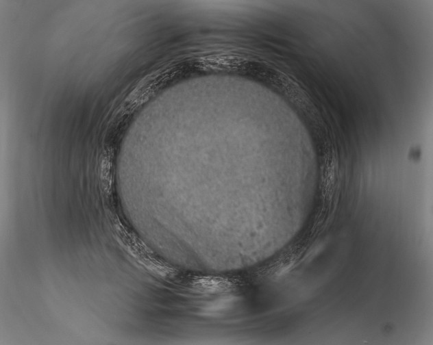 X0000115580749200912011439