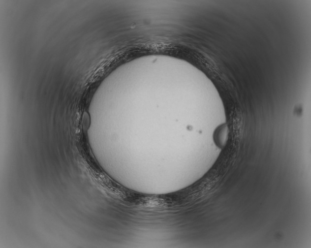 X0000115580750200912011439