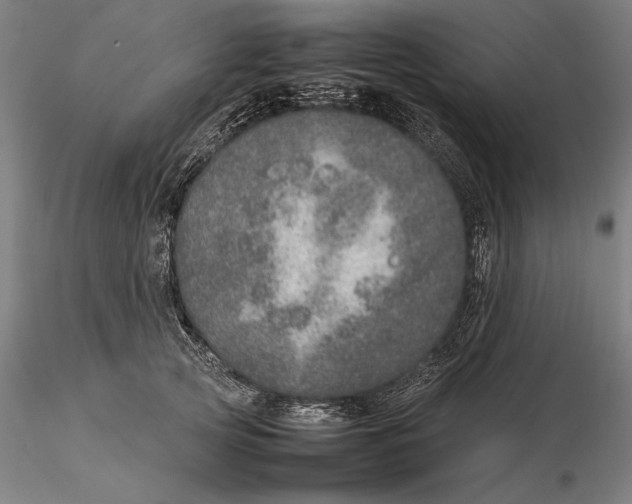 X0000115580753200912011439