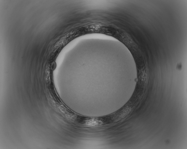 X0000115580754200912011439