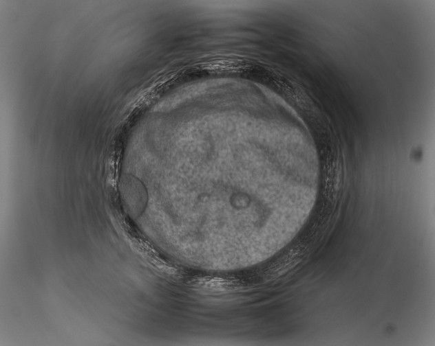 X0000115580755200912011439