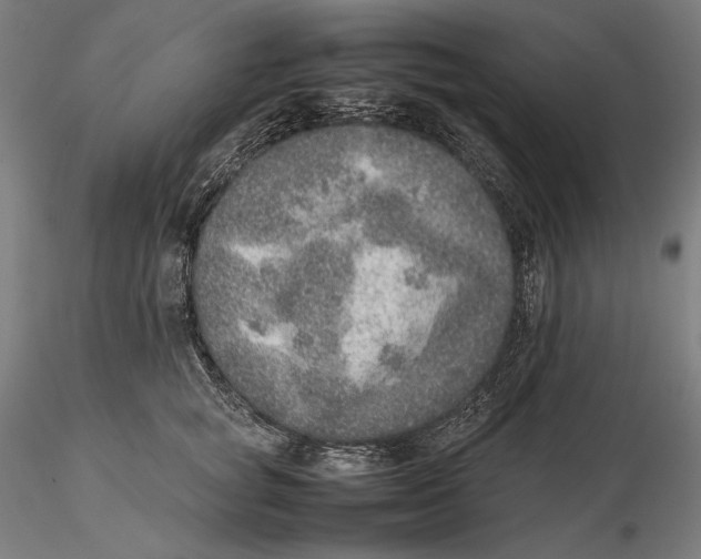 X0000115580757200912011439