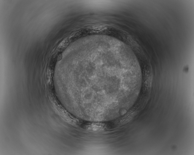 X0000115580758200912011439