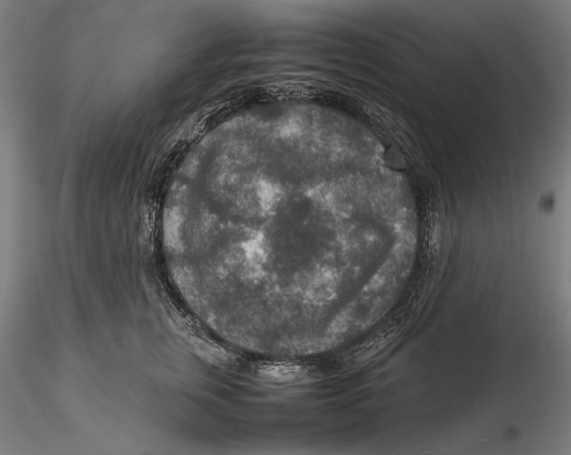 X0000115580759200912011439