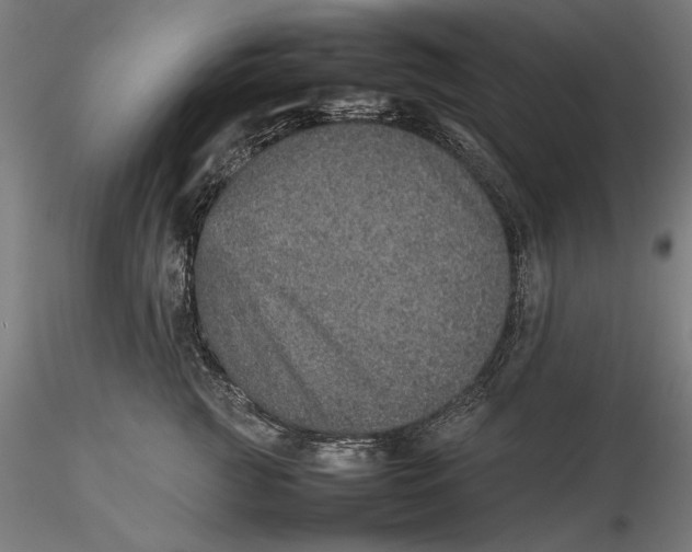 X0000115580761200912011439