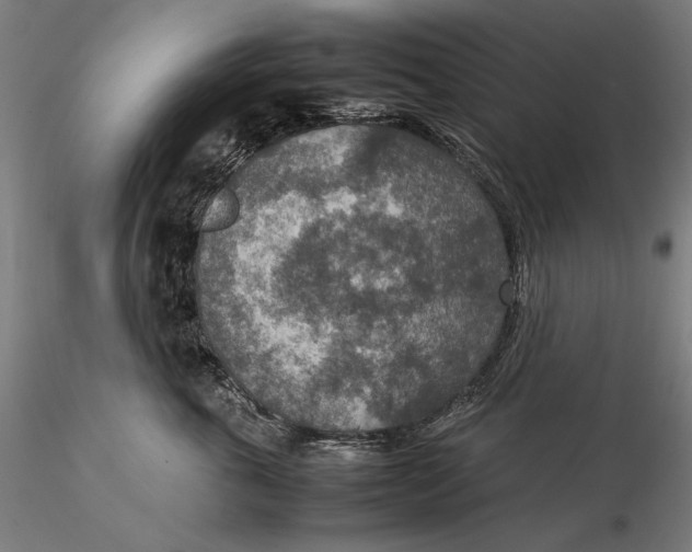 X0000115580763200912011439