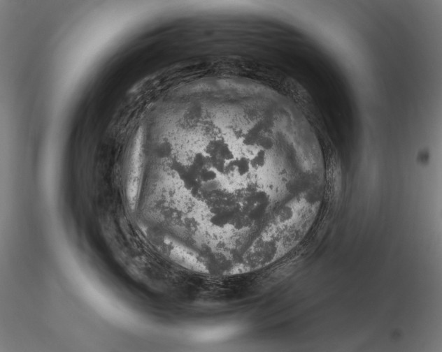 X0000115580765200912011439