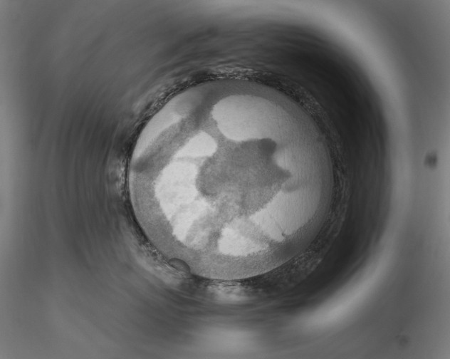 X0000115580767200912011439