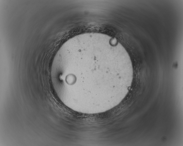 X0000115580769200912011438