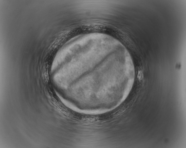 X0000115580771200912011438