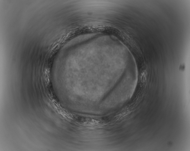 X0000115580772200912011438