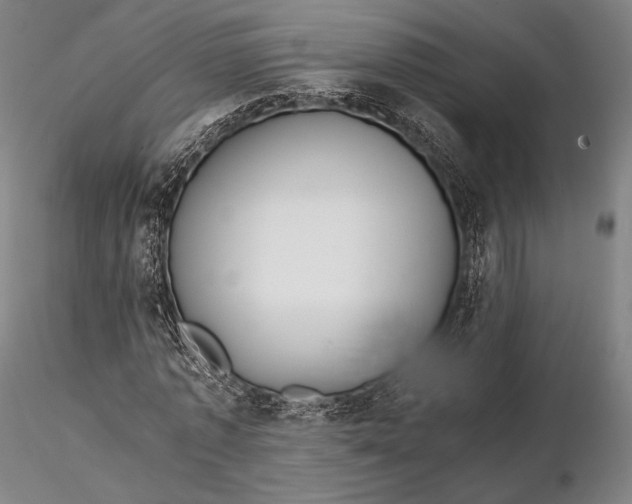 X0000115580773200912011438