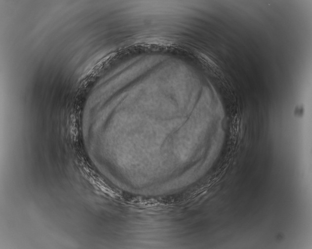 X0000115580774200912011438