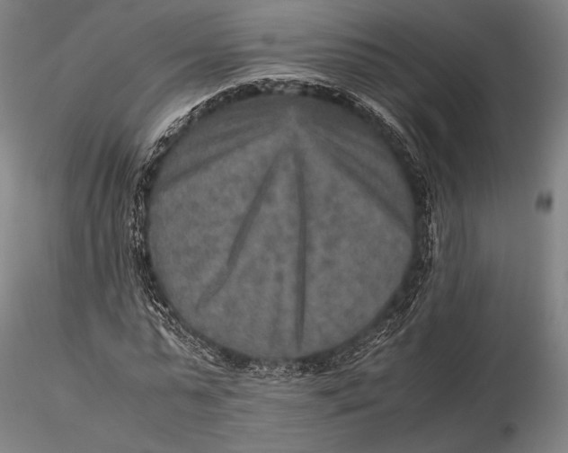 X0000115580775200912011438