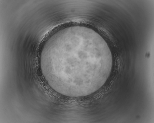 X0000115580776200912011438