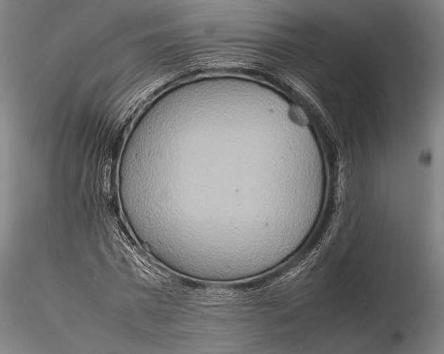 X0000115580777200912011438