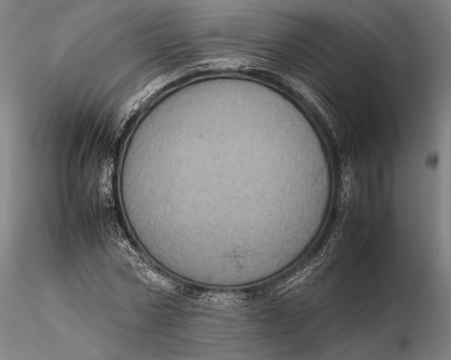 X0000115580778200912011438