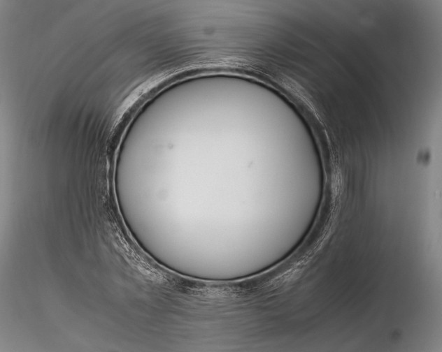 X0000115580781200912011438