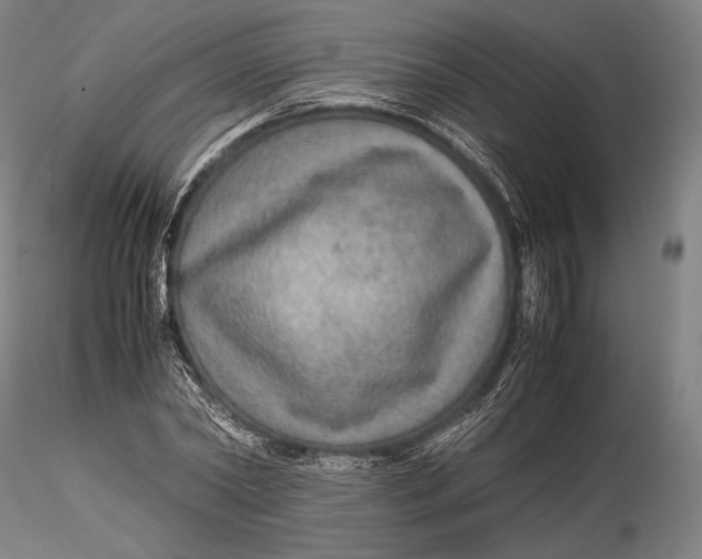 X0000115580782200912011438