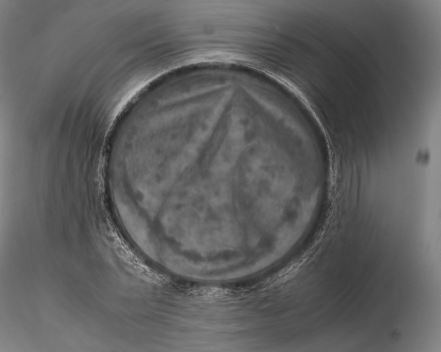 X0000115580783200912011438