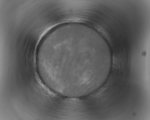 X0000115580784200912011438