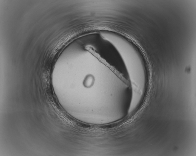 X0000115580785200912011438