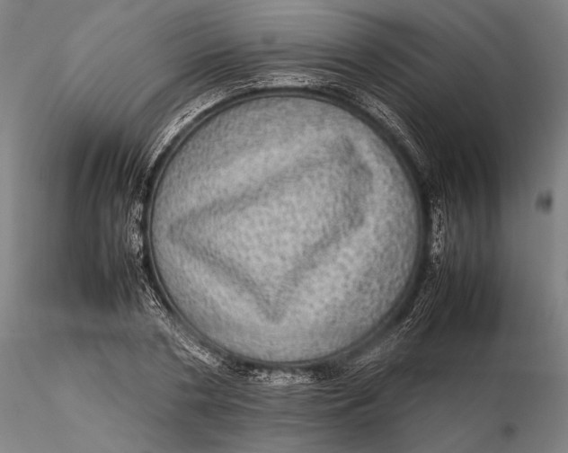 X0000115580786200912011438