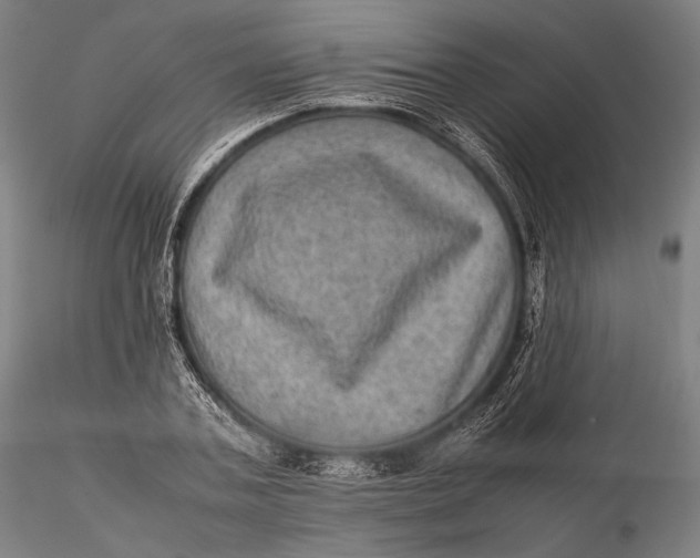 X0000115580787200912011438