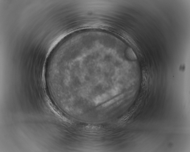 X0000115580788200912011438