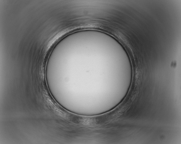 X0000115580789200912011438