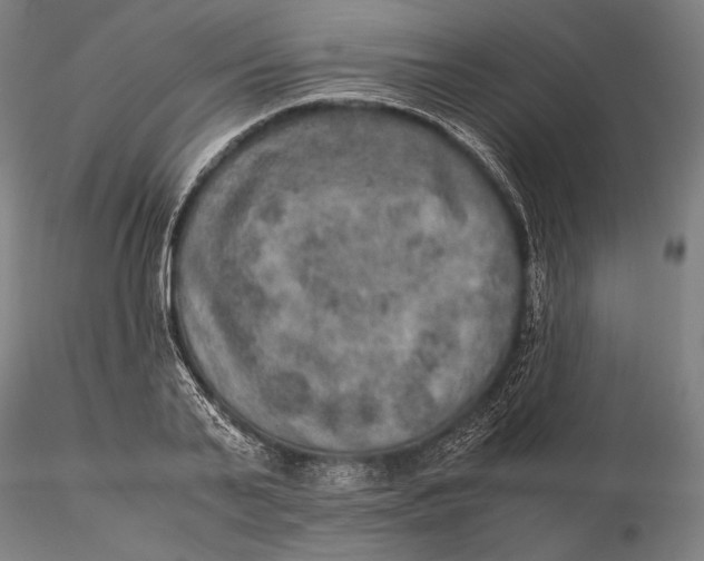 X0000115580791200912011438