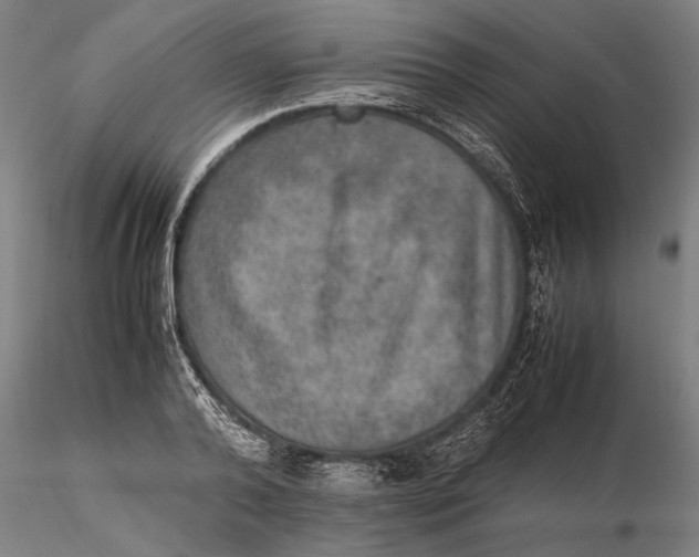 X0000115580792200912011438