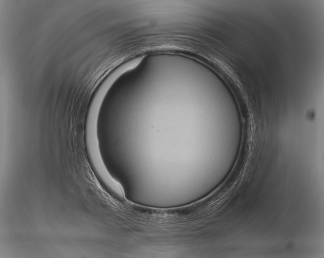 X0000115580793200912011438