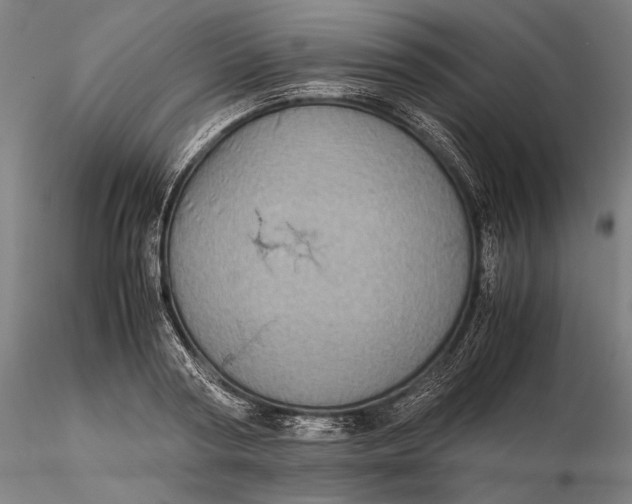 X0000115580794200912011438