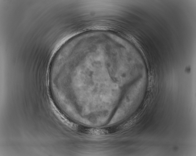 X0000115580795200912011438