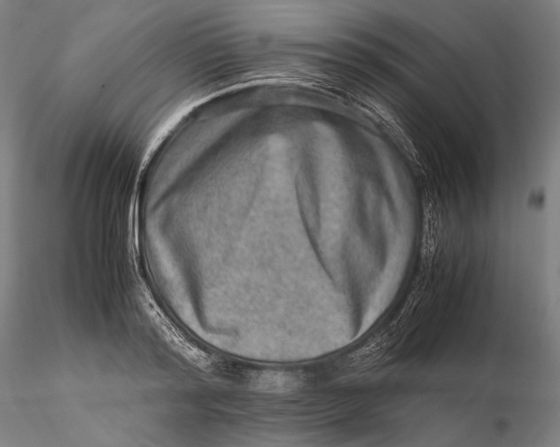 X0000115580796200912011438