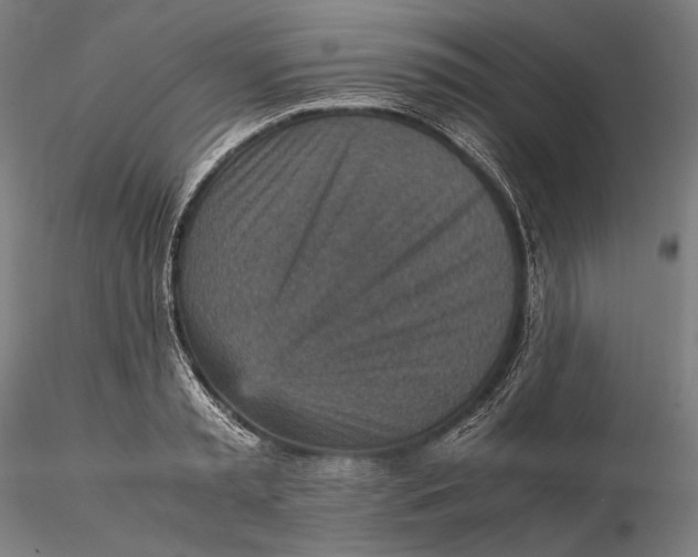 X0000115580797200912011438