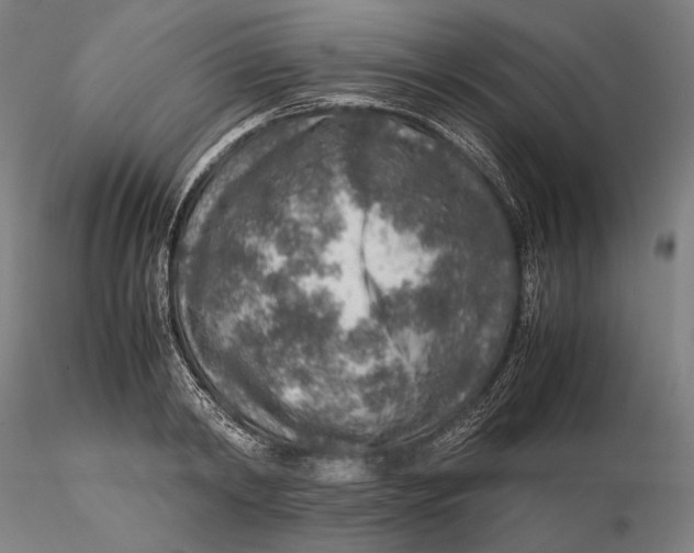 X0000115580798200912011438