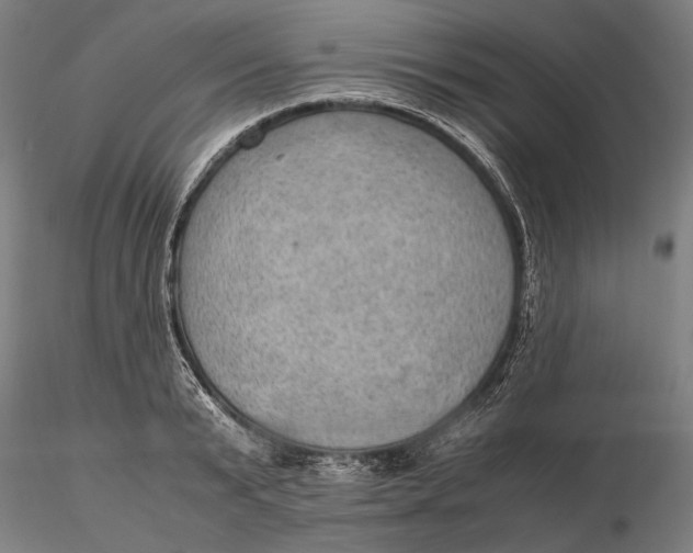 X0000115580799200912011438