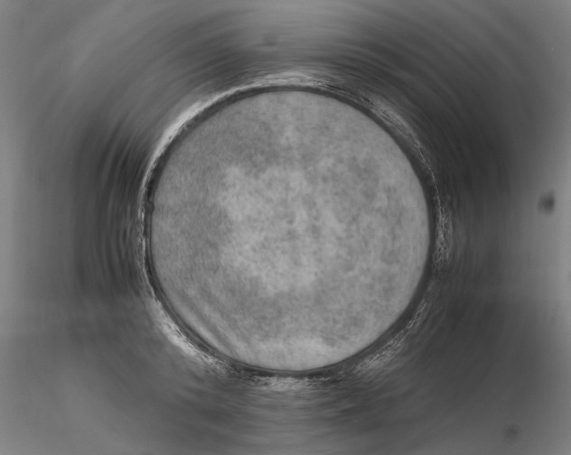 X0000115580800200912011438