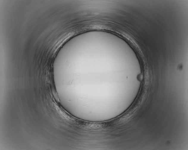 X0000115580801200912011437