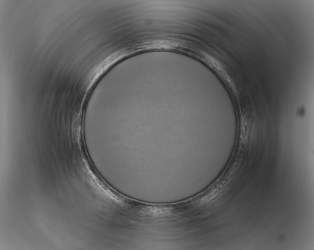 X0000115580802200912011437