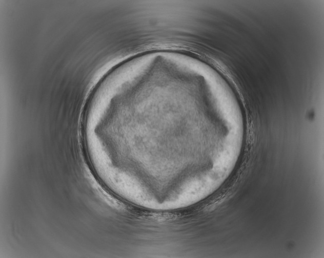 X0000115580803200912011437