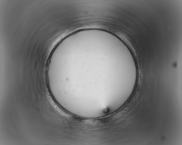 X0000115580805200912011437