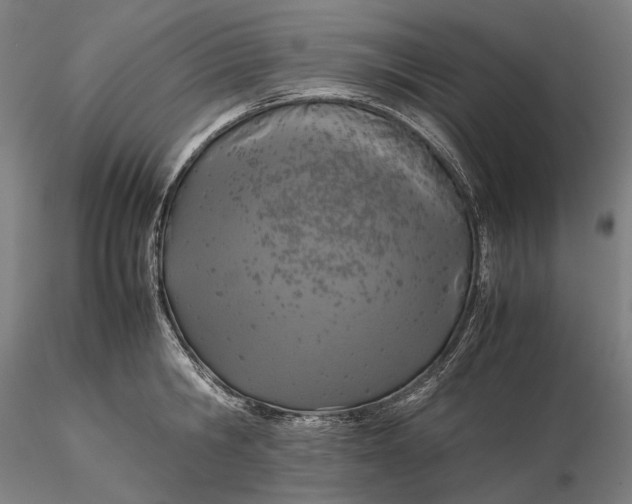 X0000115580806200912011437