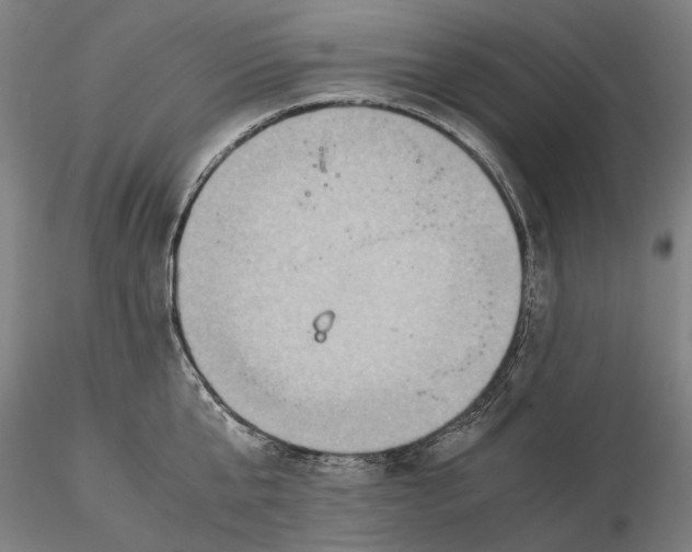 X0000115580807200912011437