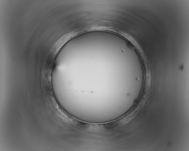 X0000115580809200912011437