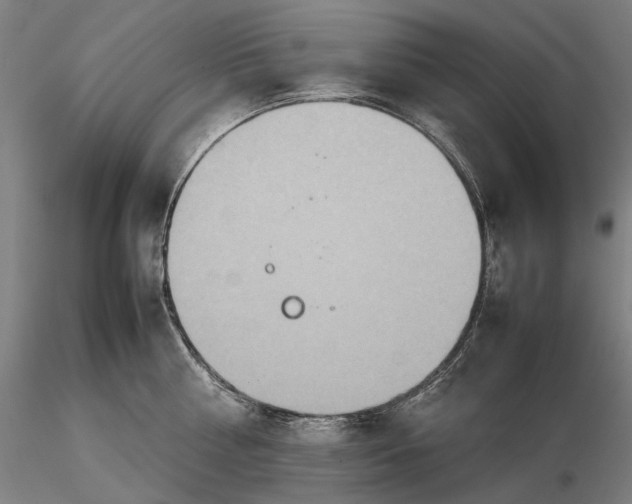 X0000115580810200912011437